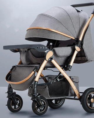 Shop Strollers and Accessories